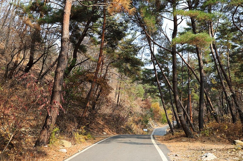 국립용화산자연휴양림 시설 사진 10