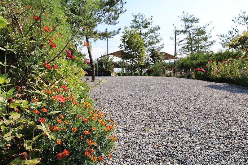 솔밭사이로 캠핑&펜션 시설 사진 2