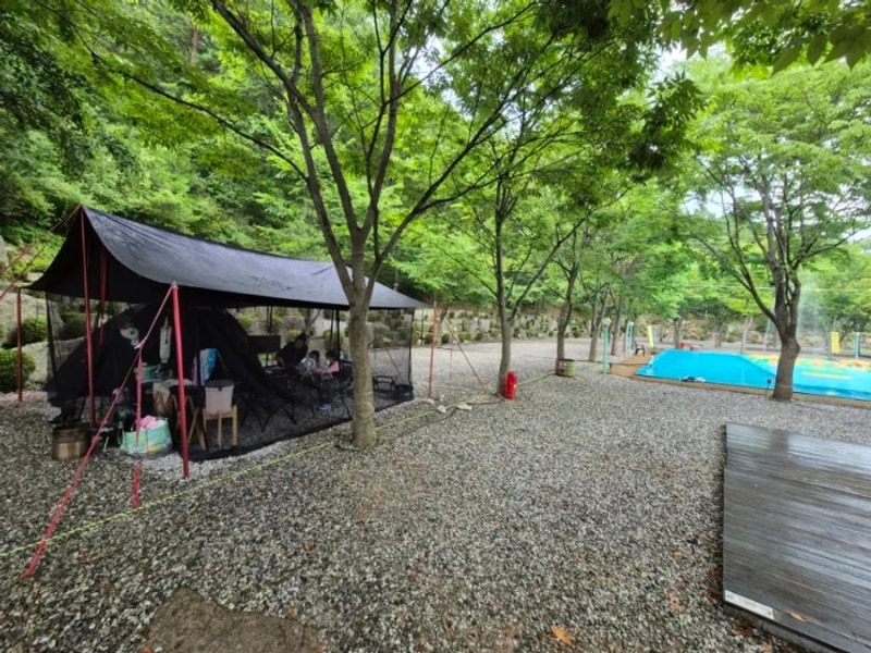 19th_진안국제캠핑장