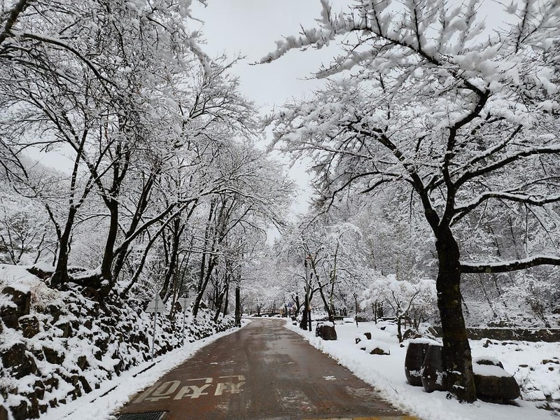 화암약수야영장 시설 사진 1