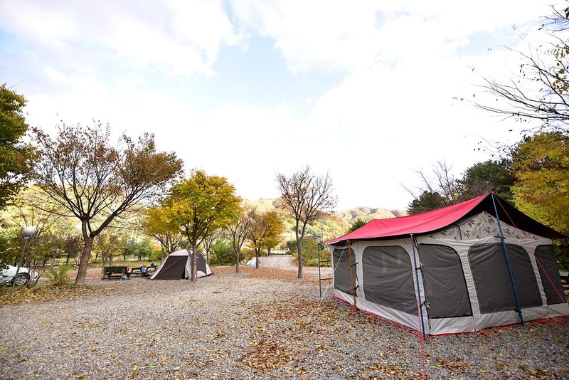 들꽃여울캠핑장 시설 사진 6