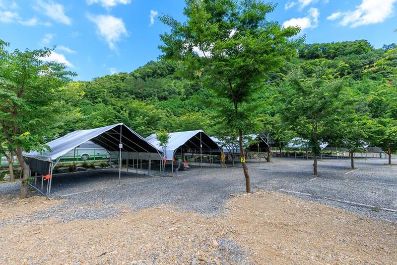 육백캠핑장 대표 사진