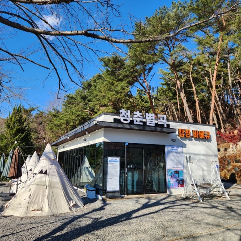 경남 진주 캠핑, 대나무 삼겹살 도전 청춘별곡캠핑장 A1 사이트