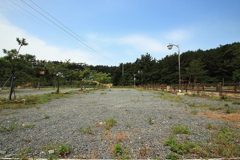 서해땅끝파도리아치내캠핑장 대표 사진