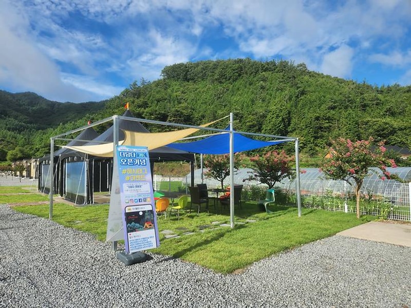 더담다 캠핑장