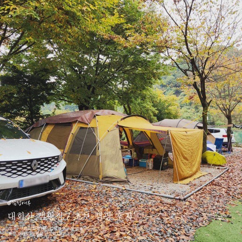 포천 캠핑장 2박 3일 가을 단풍 대회산캠핑장 후기 (+우중캠핑)