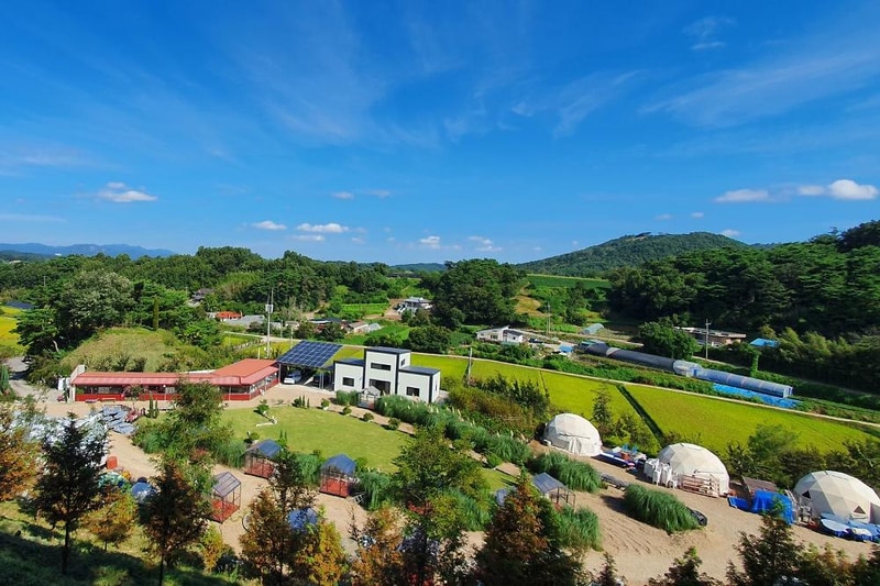 더힐링식물원 야영장 시설 사진 26