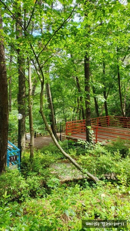 태안캠핑장 올레유에서 자연속에서 힐링하고 온 후기