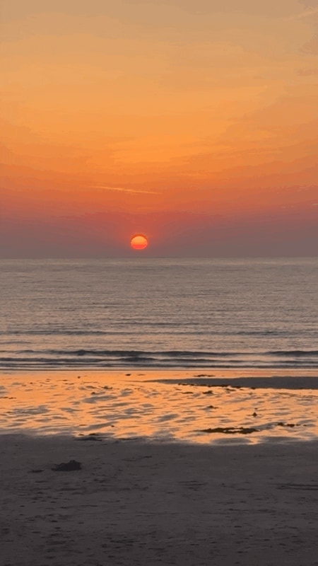 태안 석갱이오토캠핑장 황금연휴 5월 캠핑 찐 솔직 후기...