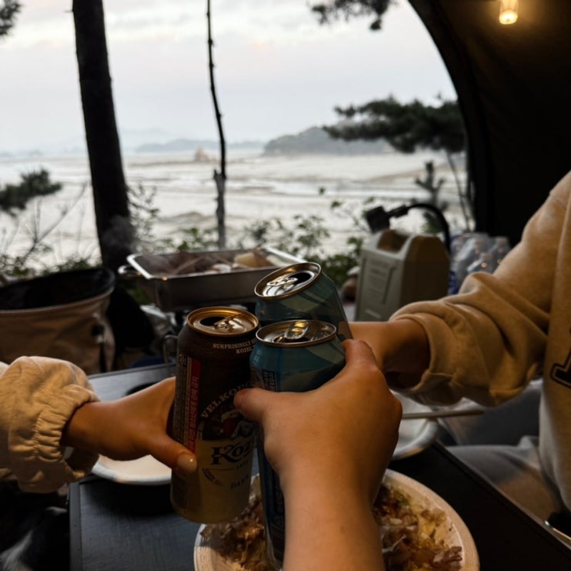 태안 뷰 좋은 애견동반 캠핑장 추천, 청산리오토캠핑장 명당...