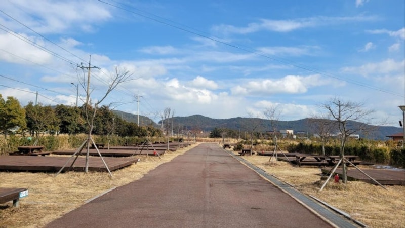 완도 오토캠핑장, 명사십리 오토캠핑장 캠핑 후기