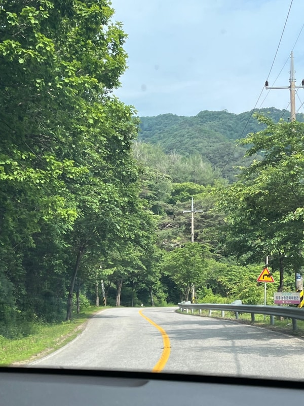 " 영월 솔밭캠프장 "