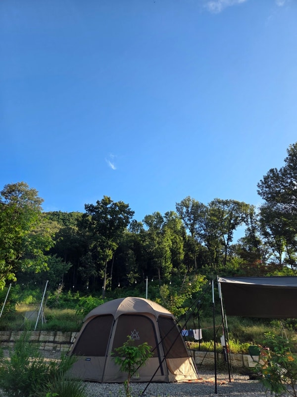 서울 근교 안성캠핑장 대이산숲속캠프 A-2사이트 내돈내산...