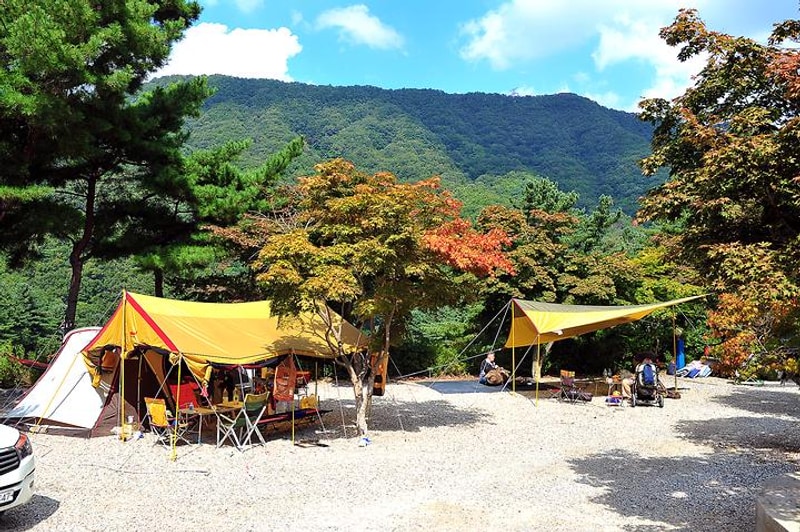 아스트로마스 캠핑랜드 대표 사진