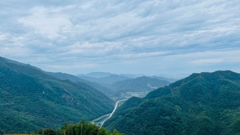 2025.5.3. - 2025.5.4. 강원도 영월 석천캠핑장