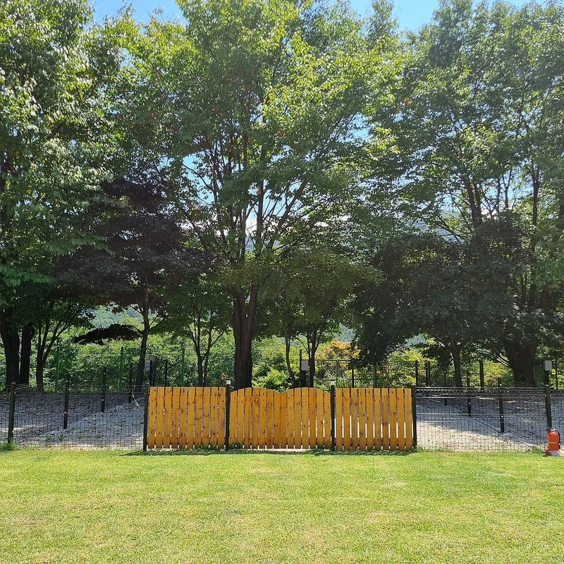 민트초코캠핑장 시설 사진 11