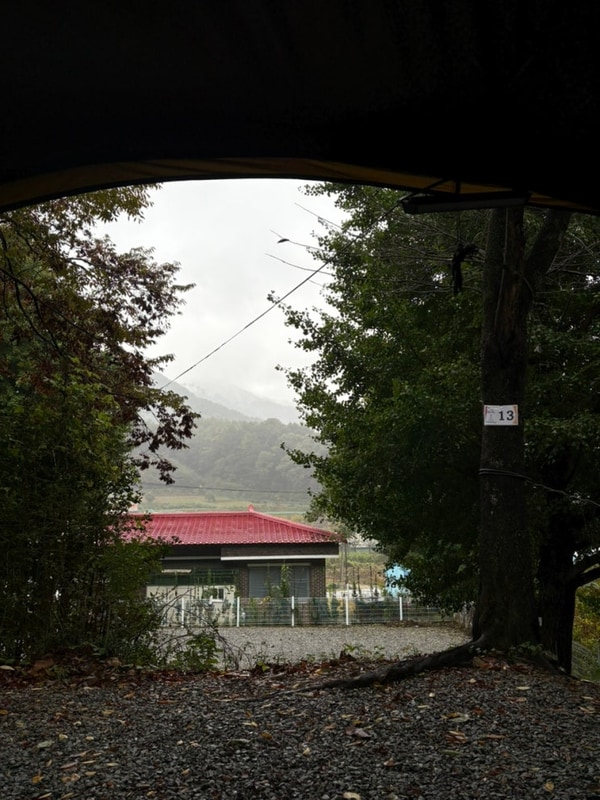 충남 공주 가을에 반드시 찾아야 할 단풍 맛집 캠핑장 ‘연종...