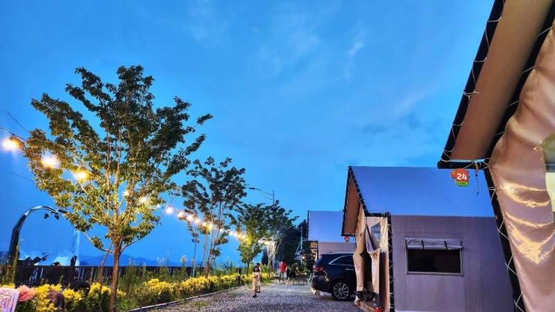 전남 글램핑 바다 앞 보성 디노글램핑