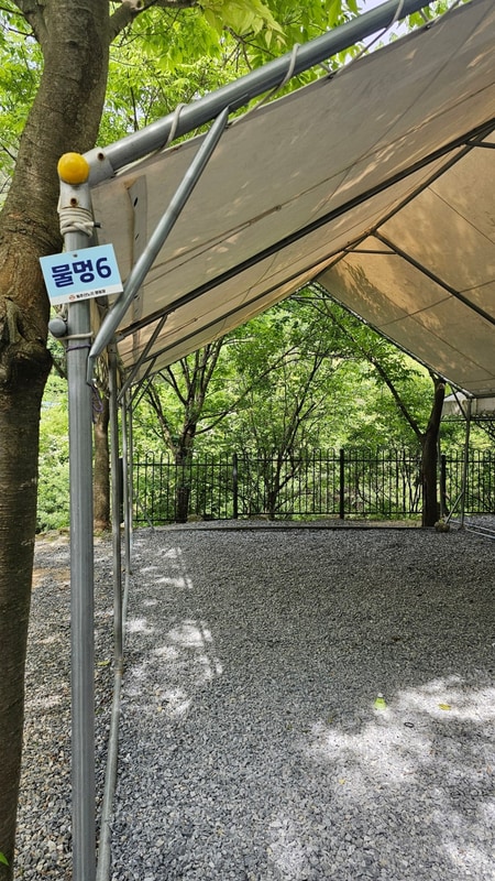 강원도 원주 산노리캠핑장 후기(계곡, 수영장)