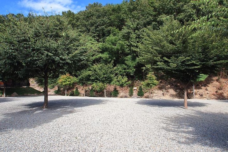 해바라기 캠핑장 대표 사진