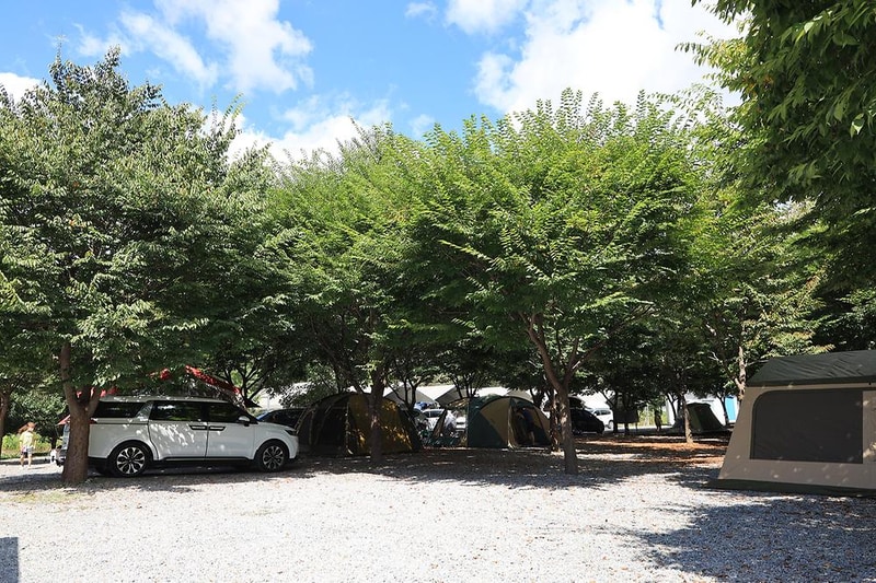 다 그린 시설 사진 7