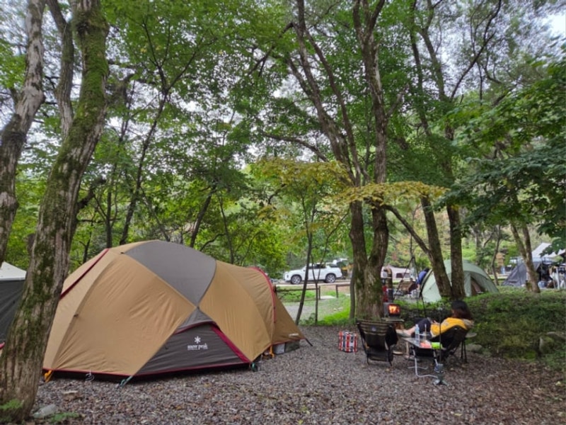 인제 온천캠핑장 _오아시스정글 캠핑장