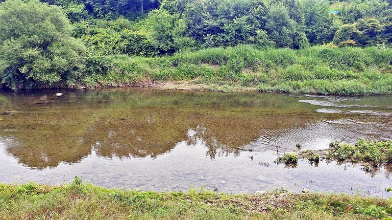 숲캠핑장 시설 사진 27