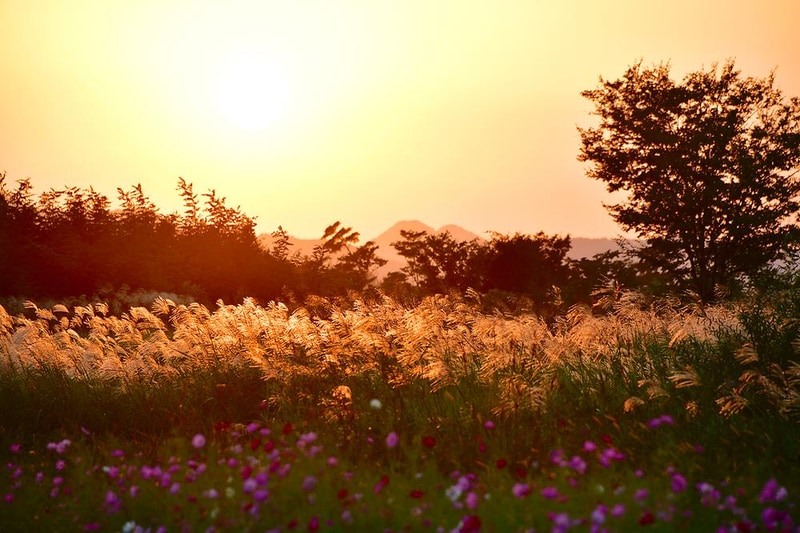 밀양아리랑 오토캠핑장 시설 사진 14