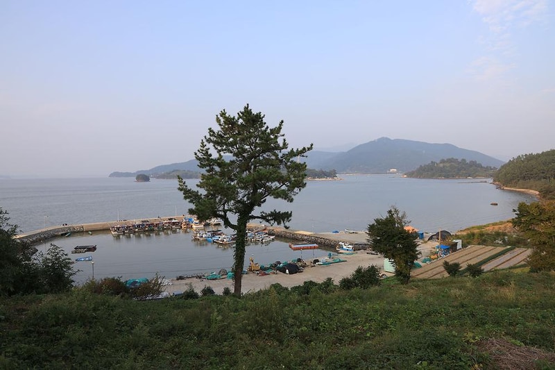 버드하우스 캠핑장 시설 사진 48