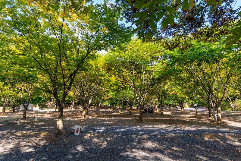 약초농원 캠핑장 시설 사진 11