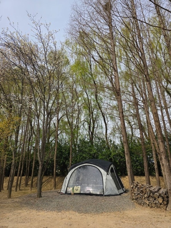 경주 캠핑빌리지 무릉관광농원 캠핑 후기