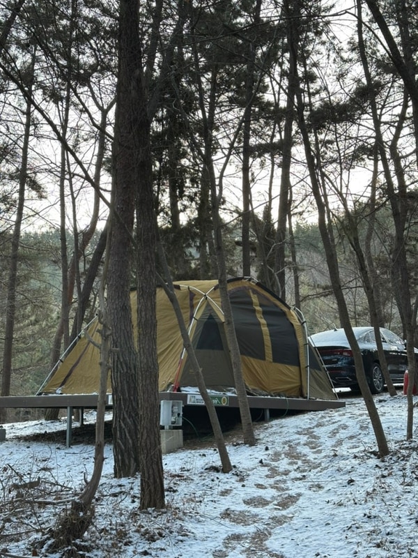 소나무숲뷰 캠핑장 우니메이카 태안점 명당 5번 사이트