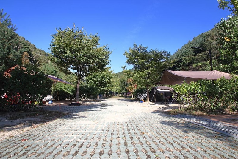 백야자연휴양림 오토캠핑장 시설 사진 1