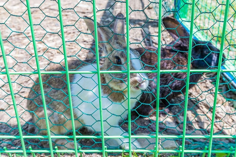 대가야캠프타운 시설 사진 8