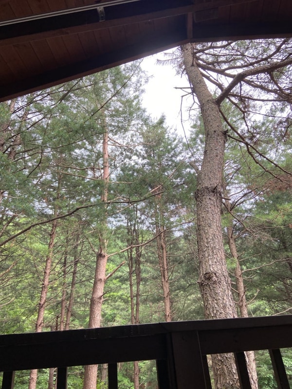 250628_횡성 힐링스토리 캠핑장