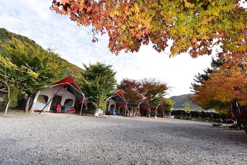 솔바람캠핑장 시설 사진 7