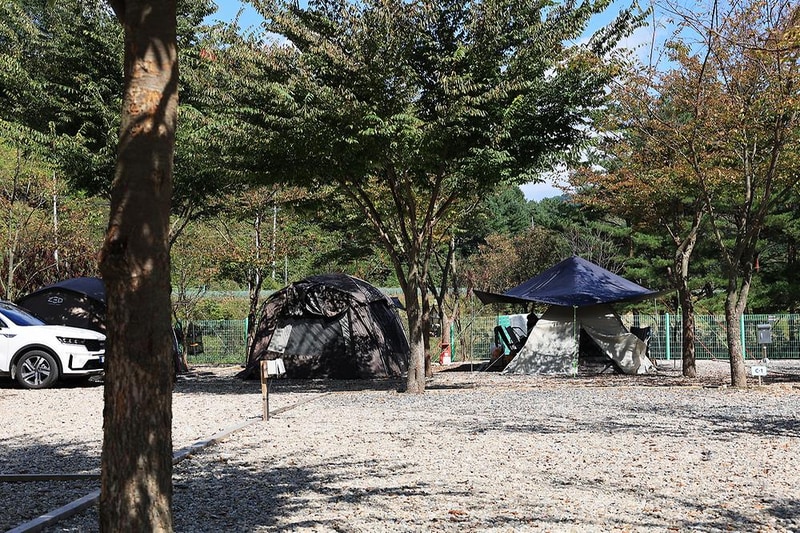 보랏빛오토캠핑장 시설 사진 11