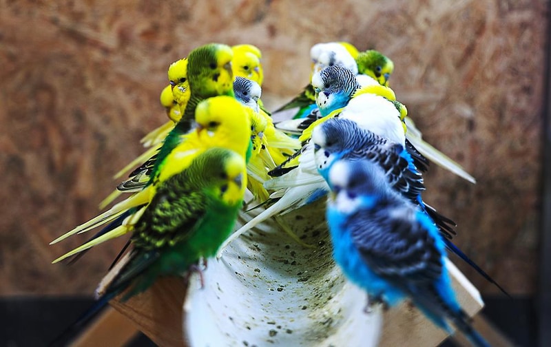 쿠 야영장 시설 사진 15