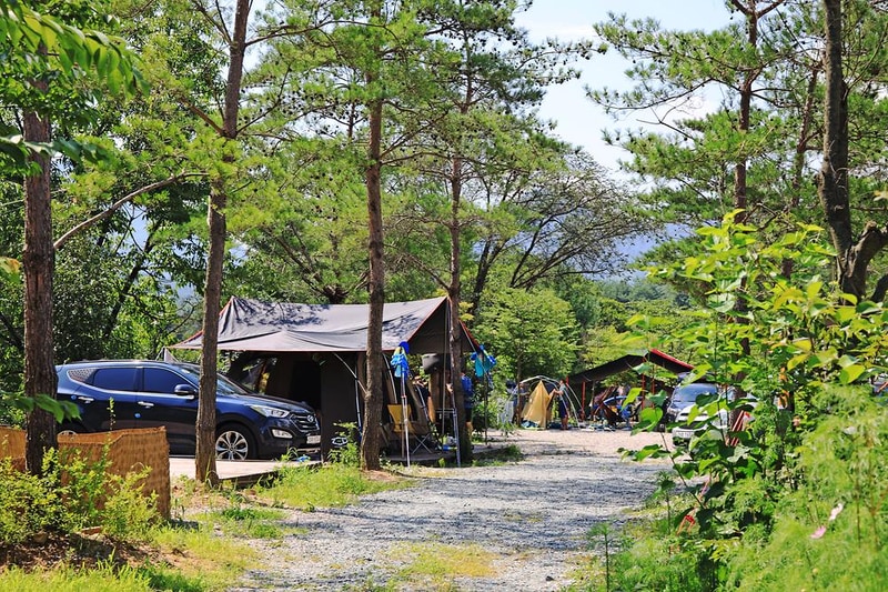 평창 보물섬캠핑장 시설 사진 13