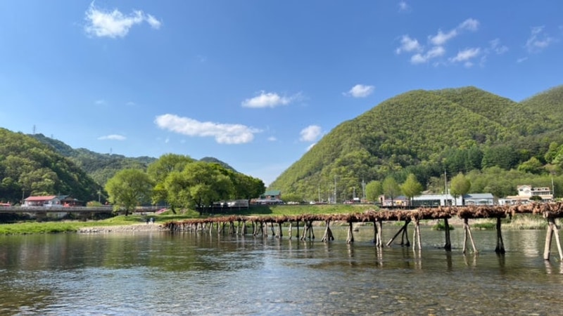 [250502-04] 영월 위드힐링캠핑장 즐거운 2박3일 / 나무...