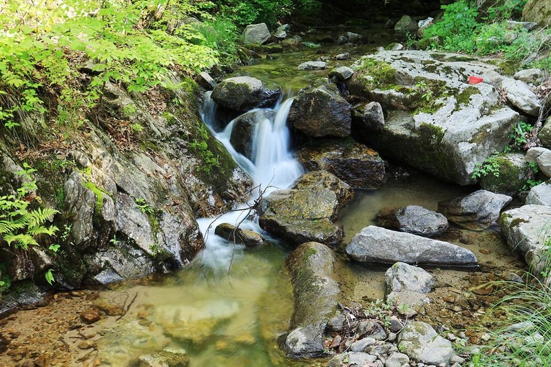 원대리751 글램핑 시설 사진 12