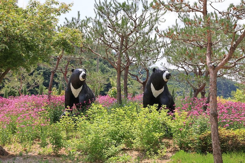 포레스트 시설 사진 7