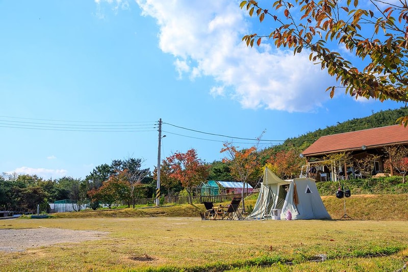 비손관광농원 야영장 시설 사진 14