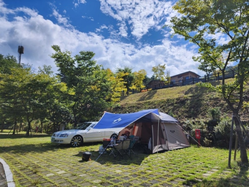 [148]청도자연휴양림 캠핑장/소싸움 구경