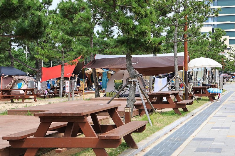 오호(OHO!) 캠핑장 시설 사진 17