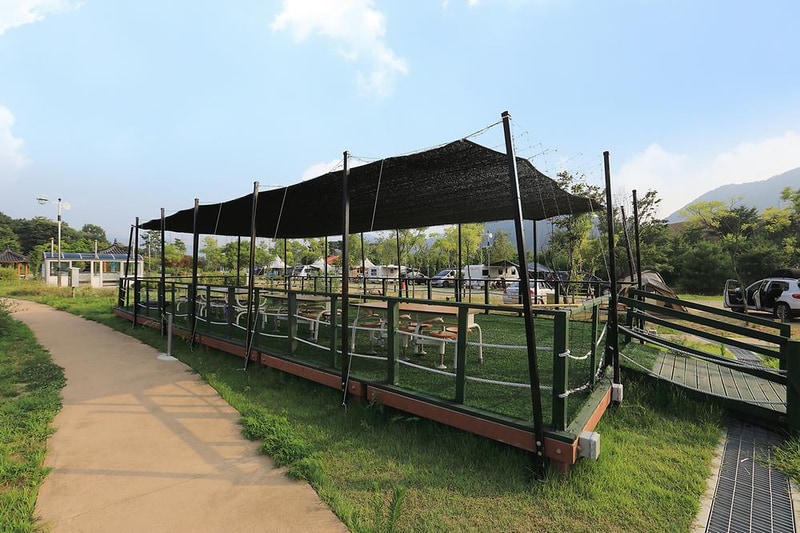 괴강국민여가캠핑장 시설 사진 7