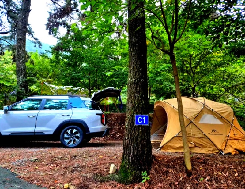 EP.7-2 창원캠핑장추천 '창원 휴양림 오토캠핑장 리조트...