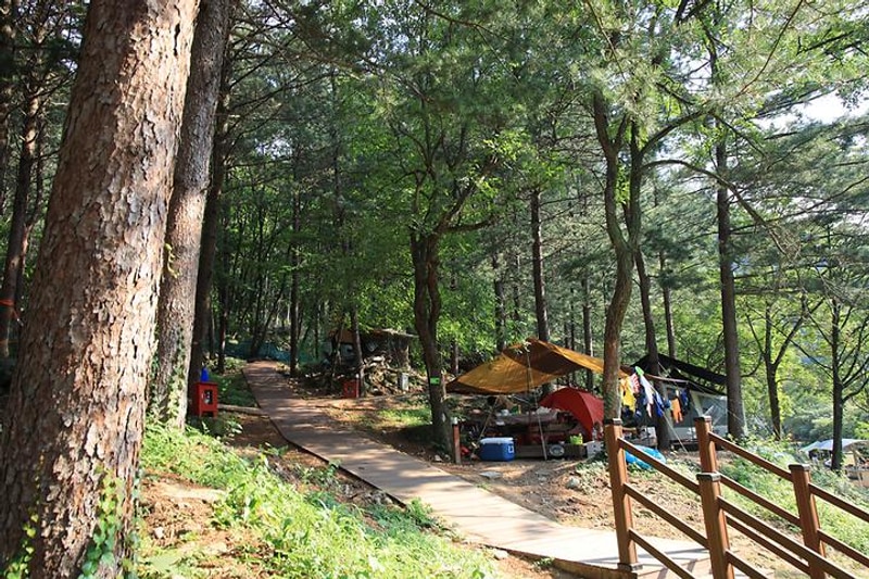 선바위자연캠핑장 대표 사진