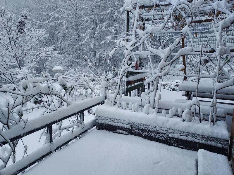 횡성산울림오토캠핑장 시설 사진 25