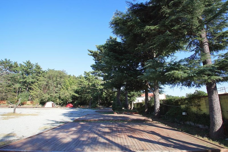 포항오토캠핑장 루트7 시설 사진 3